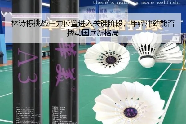 林诗栋挑战主力位置进入关键阶段，年轻冲劲能否撬动国乒新格局（kaiyun）
